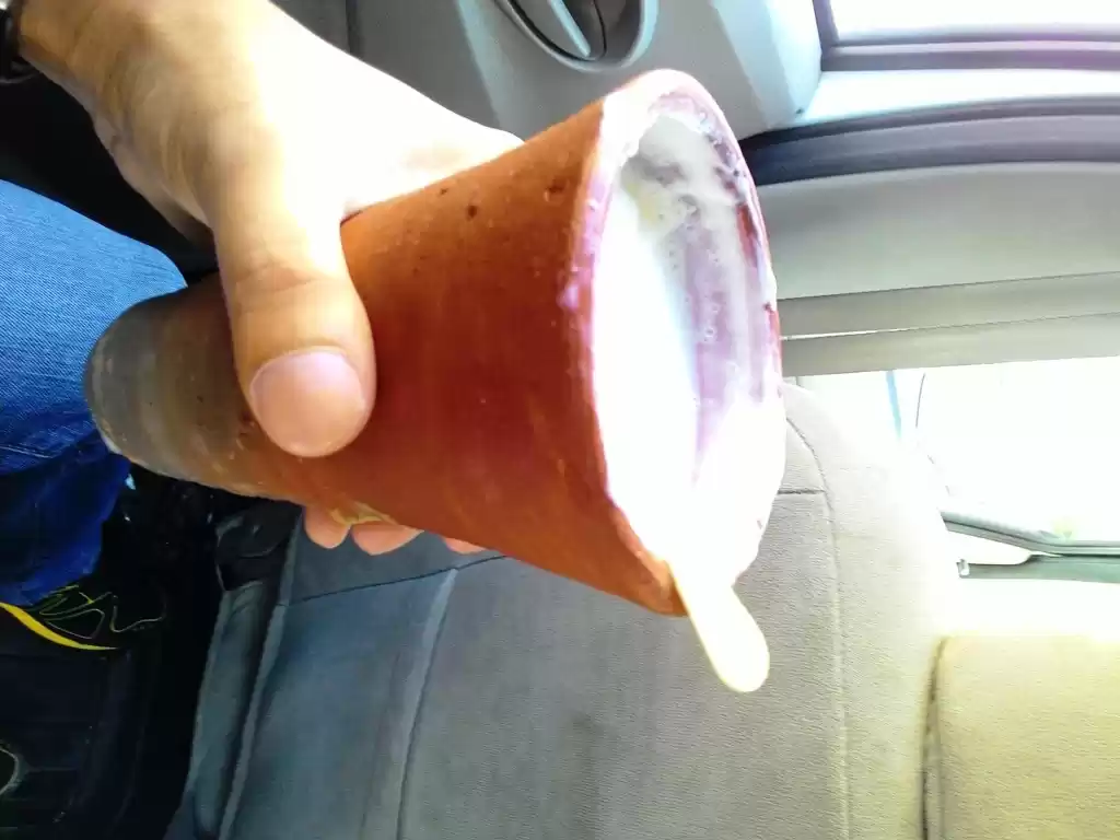 Photo of Rendezvous with Raja