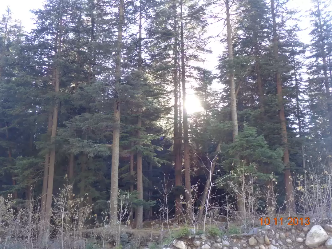 Photo of Manali: On a student