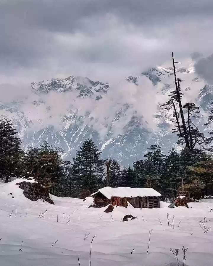 Photo of Yumthang Valley, Nor