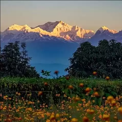 Photo of Kanchenjunga view fr