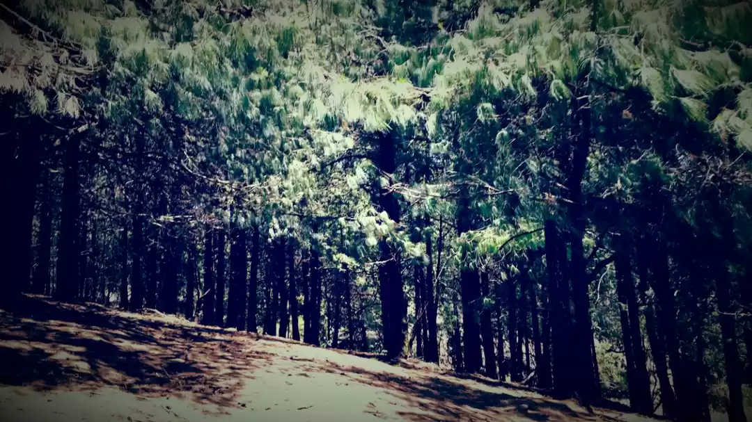 Photo of Madurai via coimbato