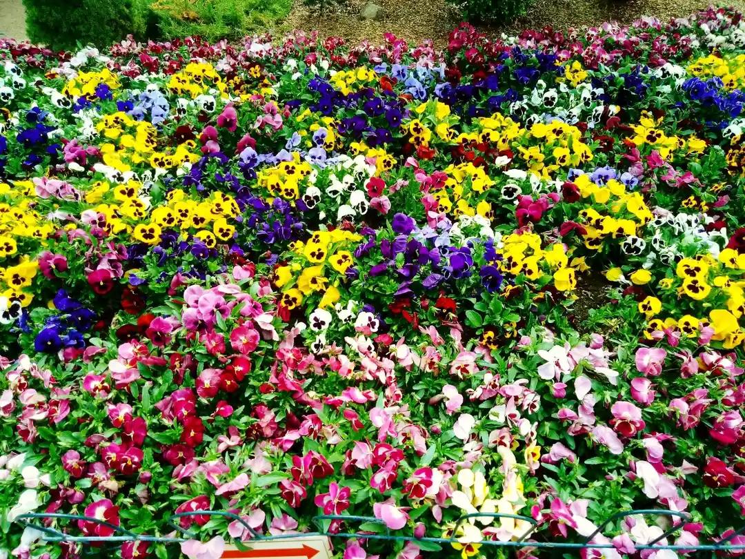 Photo of Have the world at yo