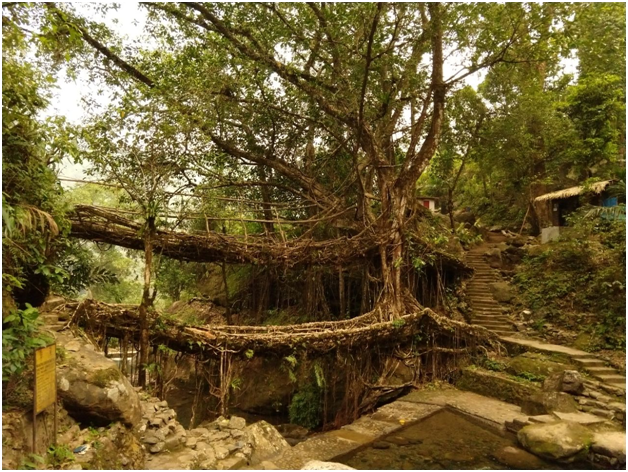 Photo of Stairway to Heaven