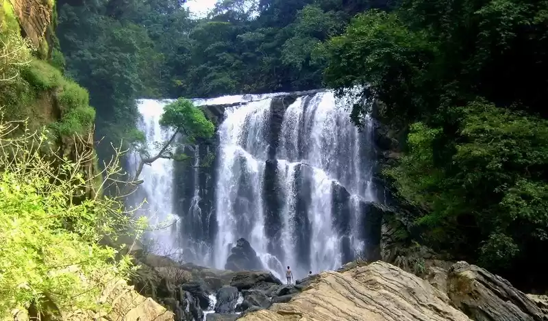 Photo of Dandeli - The Ultima