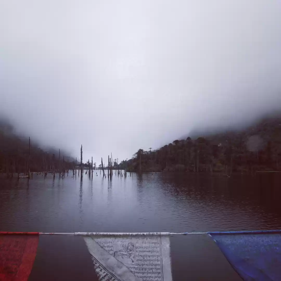 Photo of A Trip To North East