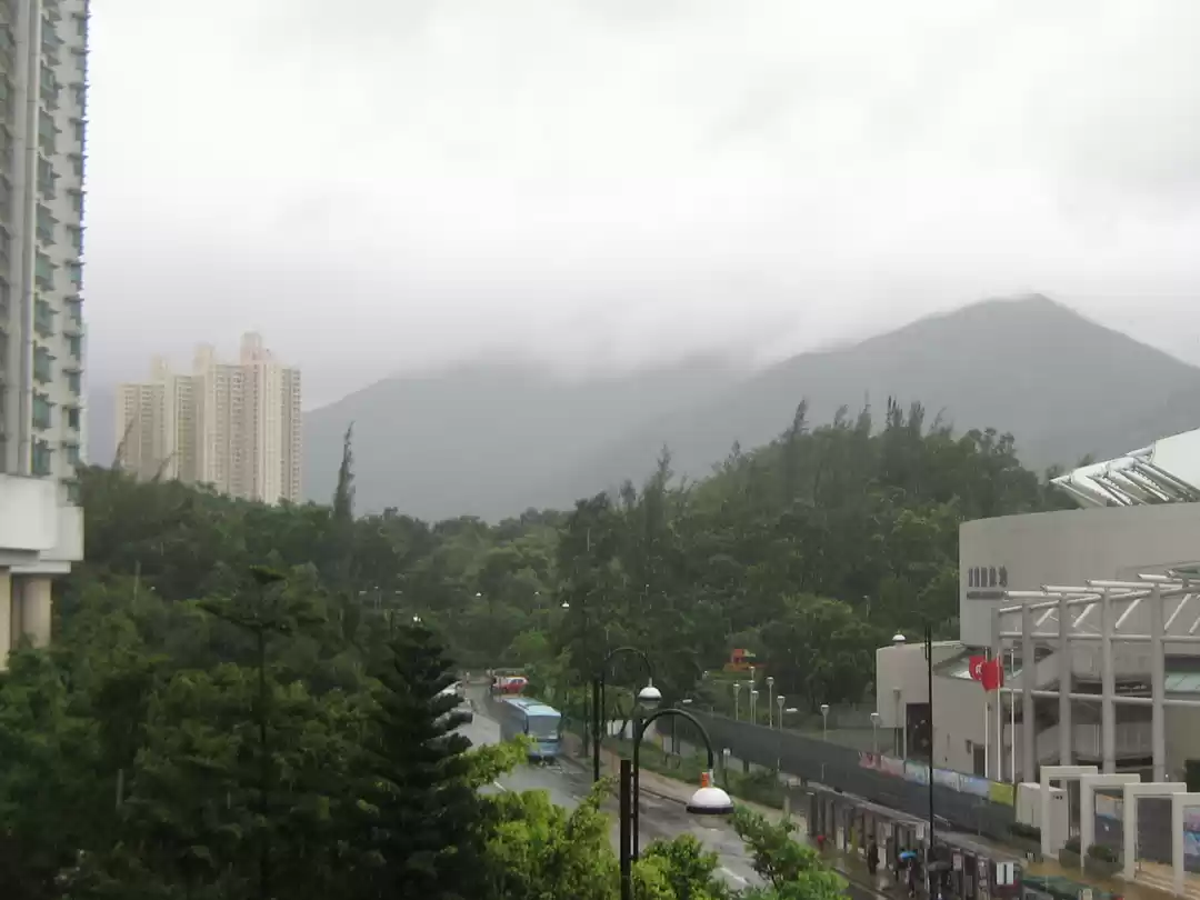 Photo of Two girls, two count