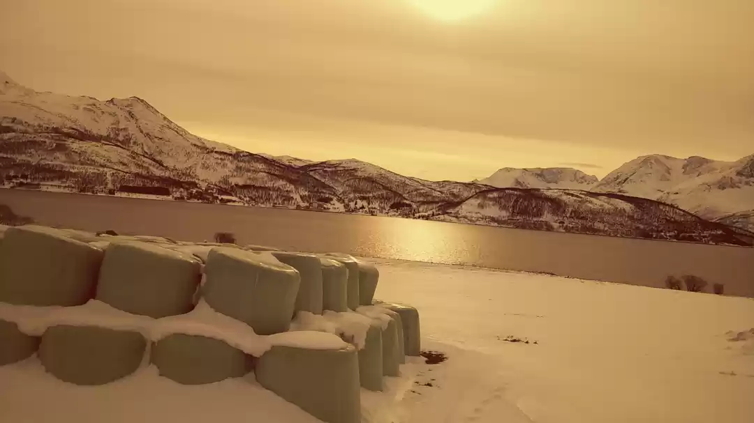 Photo of European Diaries- An