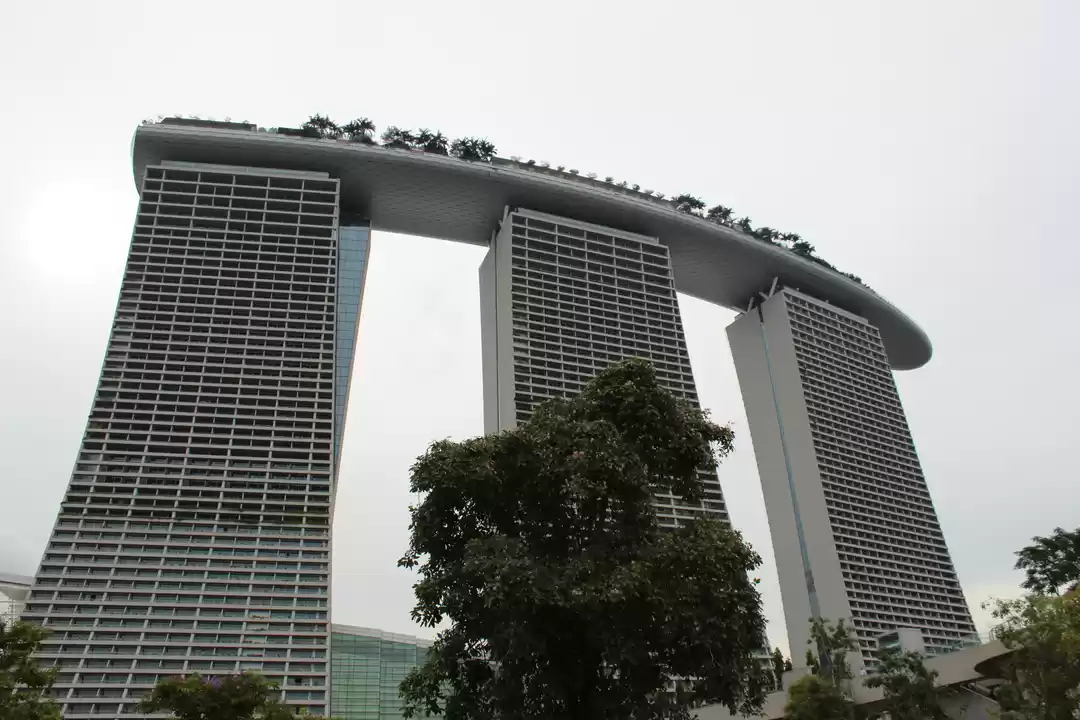 Photo of Living it as a local