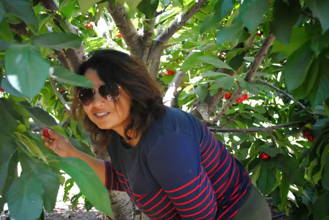 Photo of My 10 favorite thing