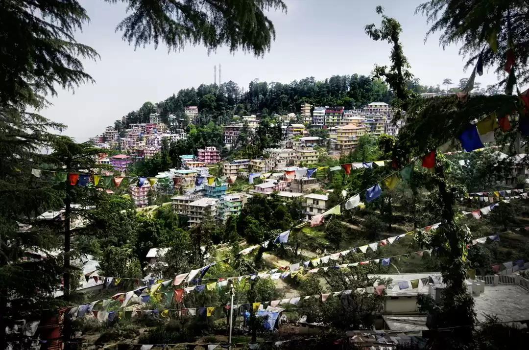 Photo of How we spent a weeke