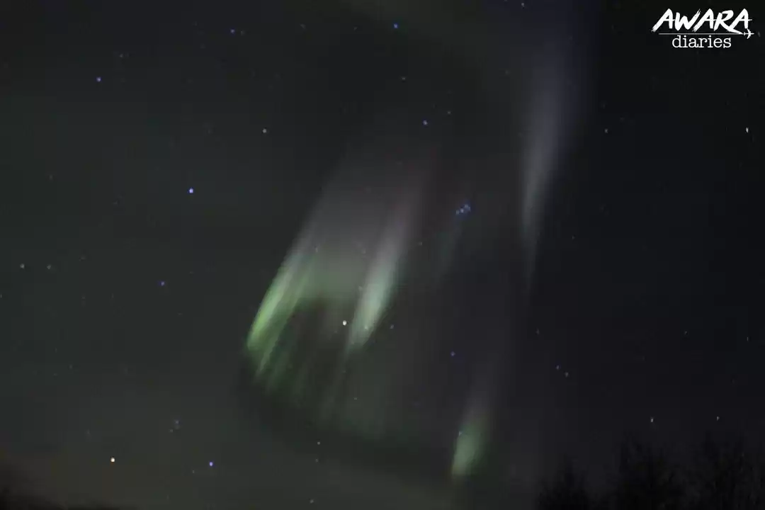 Photo of I Saw The Northern L
