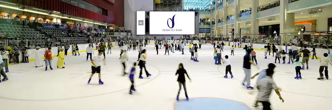 Photo of Ice Skating At The D