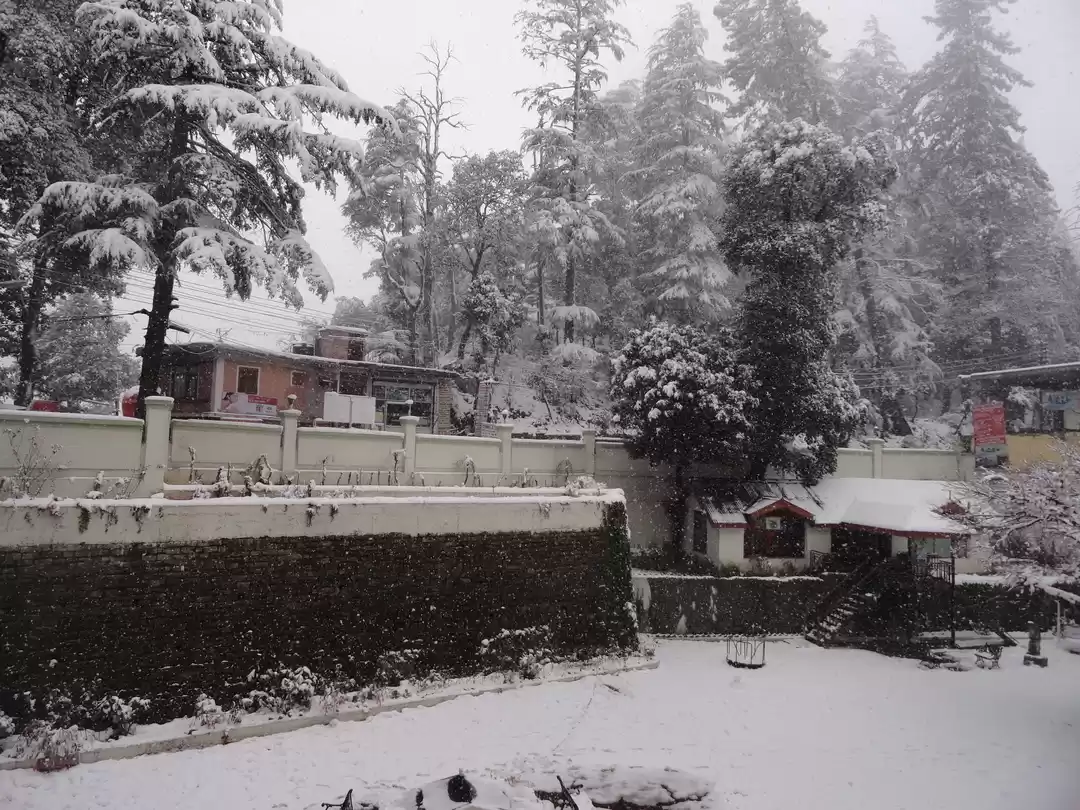 Photo of Snow-capped Shimla 