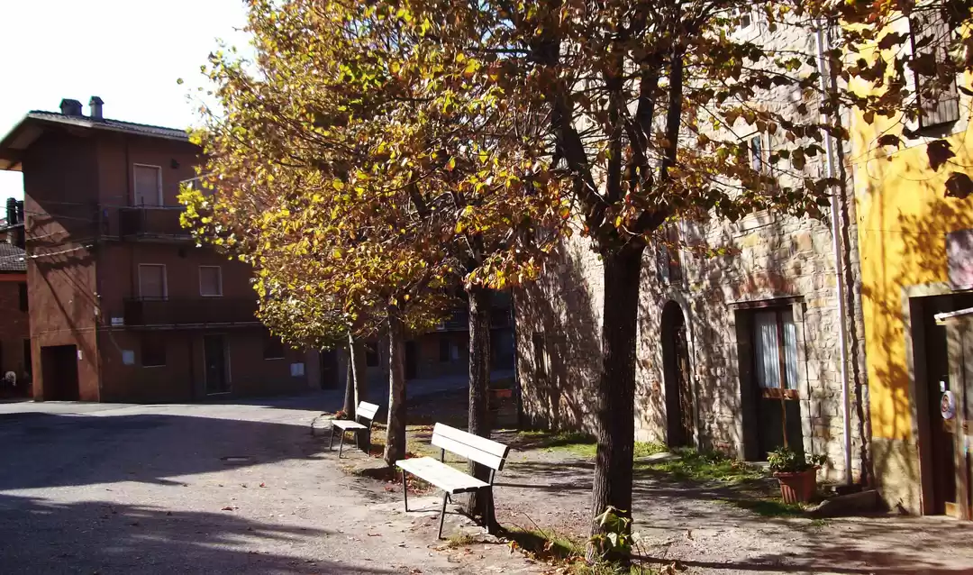 Photo of La Vita Bella—A Mont