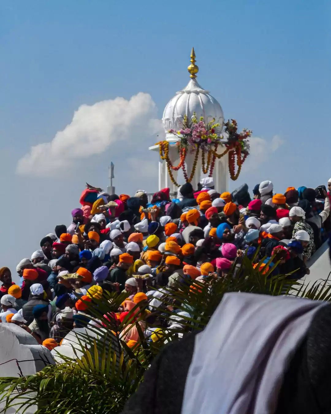 Photo of Colors of Hola Mohal