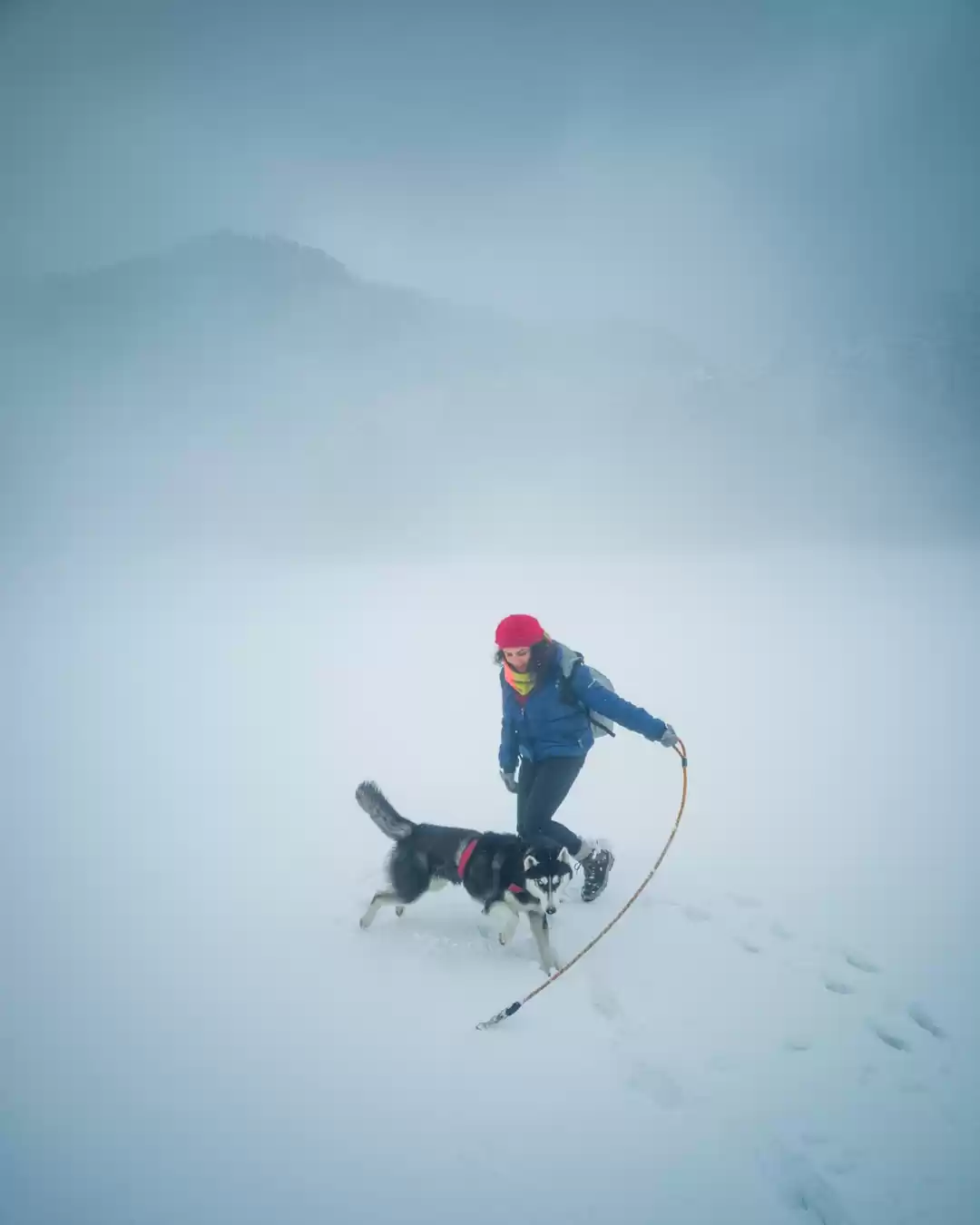 Photo of Winters 2020 with ho