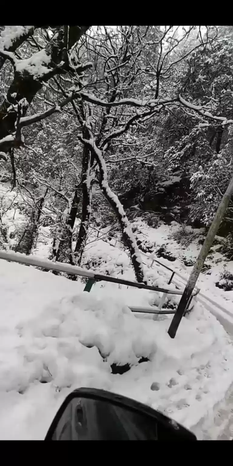 Photo of Snowfall on a shoest