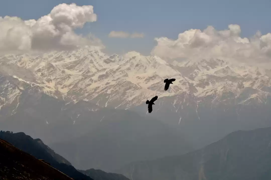 Photo of Chopta- Chandrashila