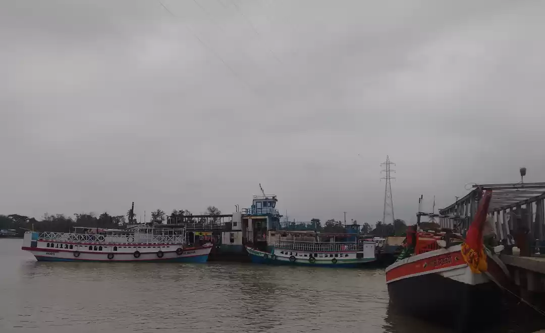 Photo of Sundarbans – Where t