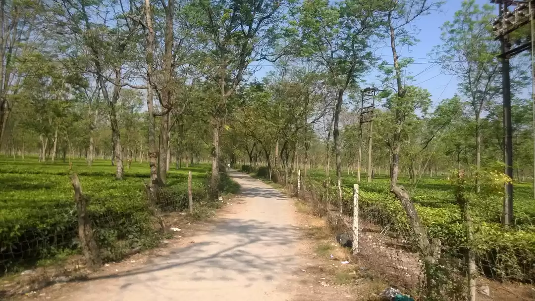 Photo of Bhutan : The land of