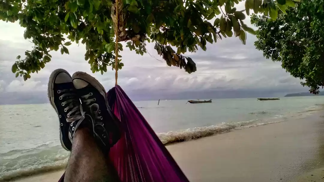 Photo of Havelock - Top Thing