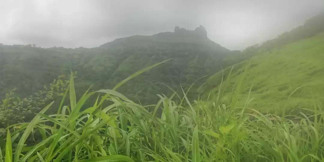 Photo of Irshalgad - Trekking