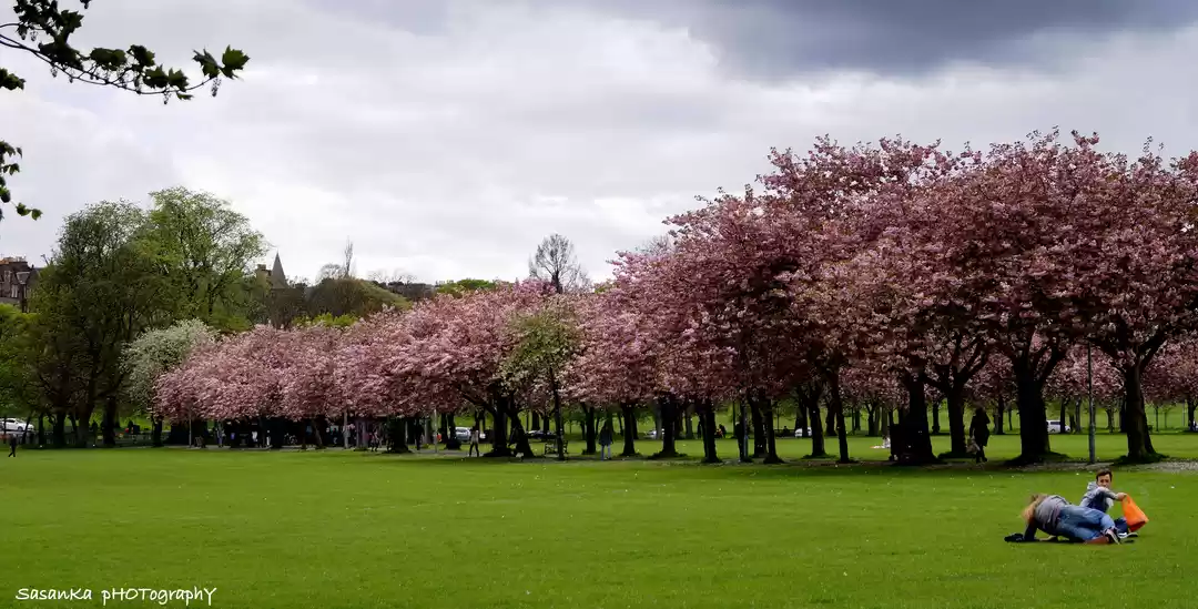 Photo of Colors of Europe in 