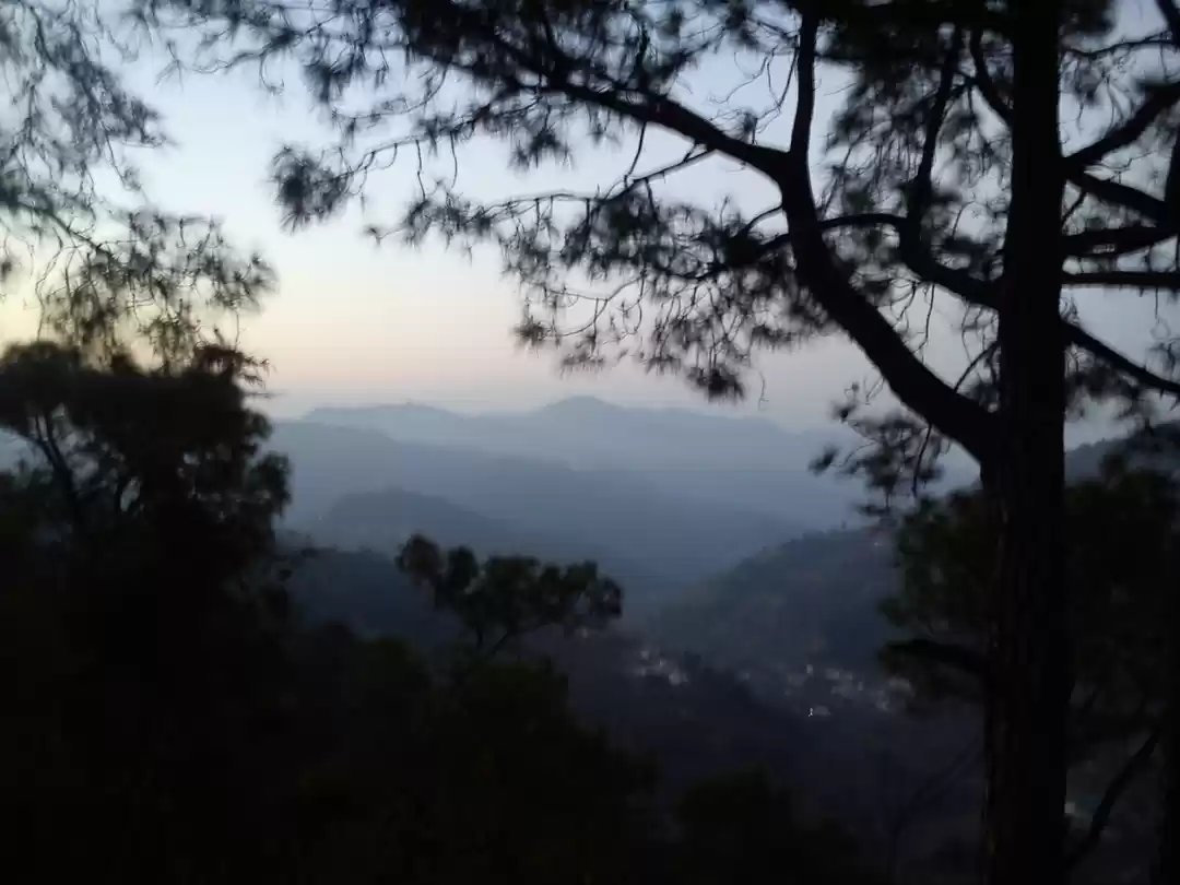 Photo of Cold Day in the Sun