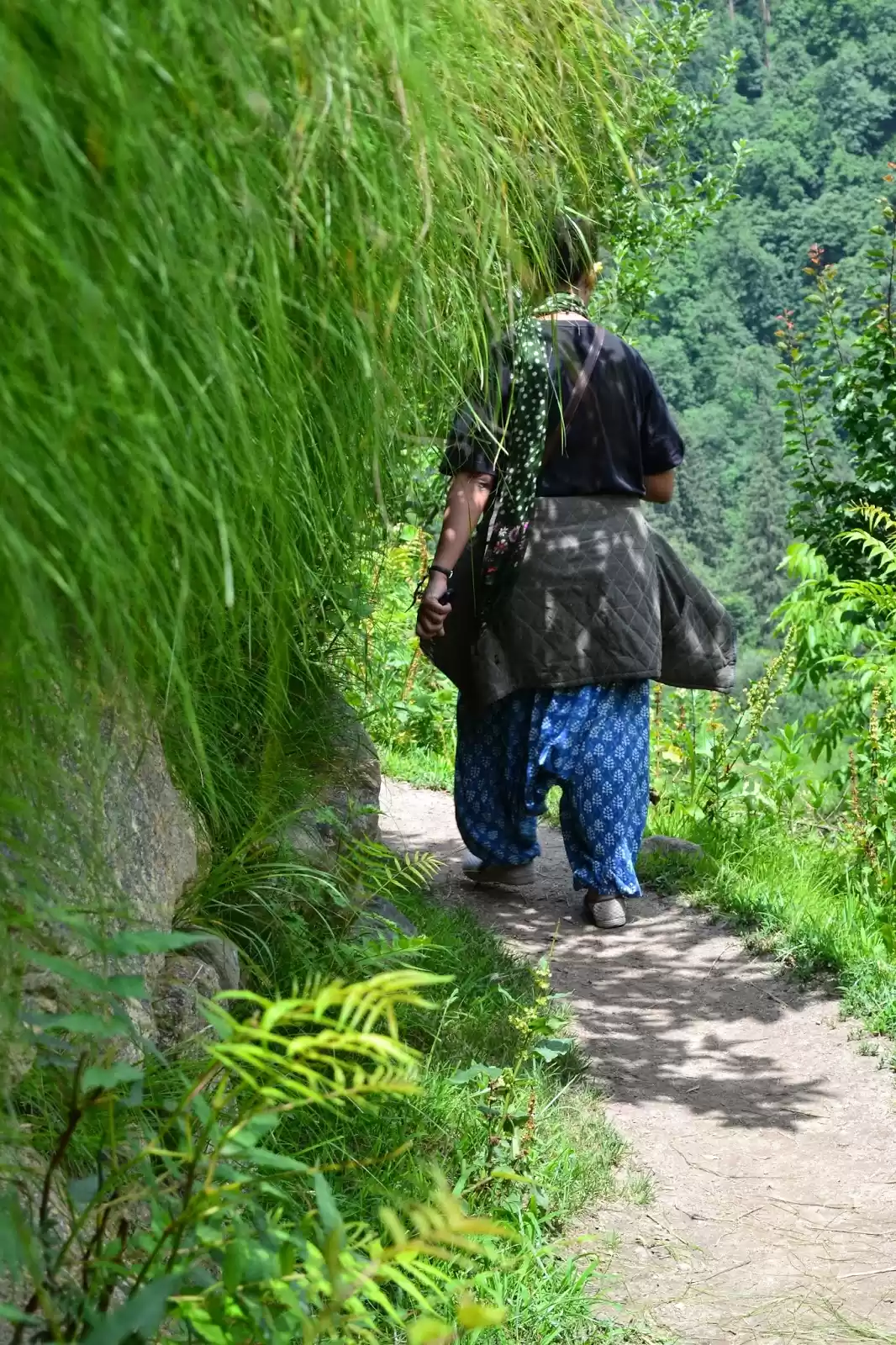 Photo of Are you travelling a