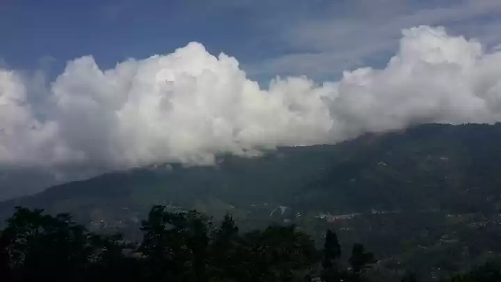 Photo of Lost in the beauty o