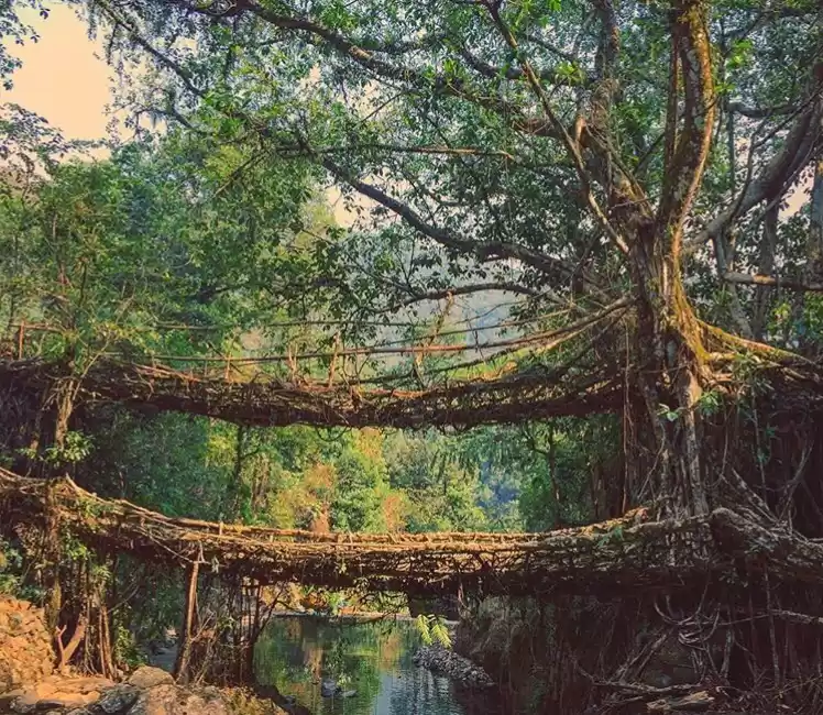 Photo of Nothing Feels Like N