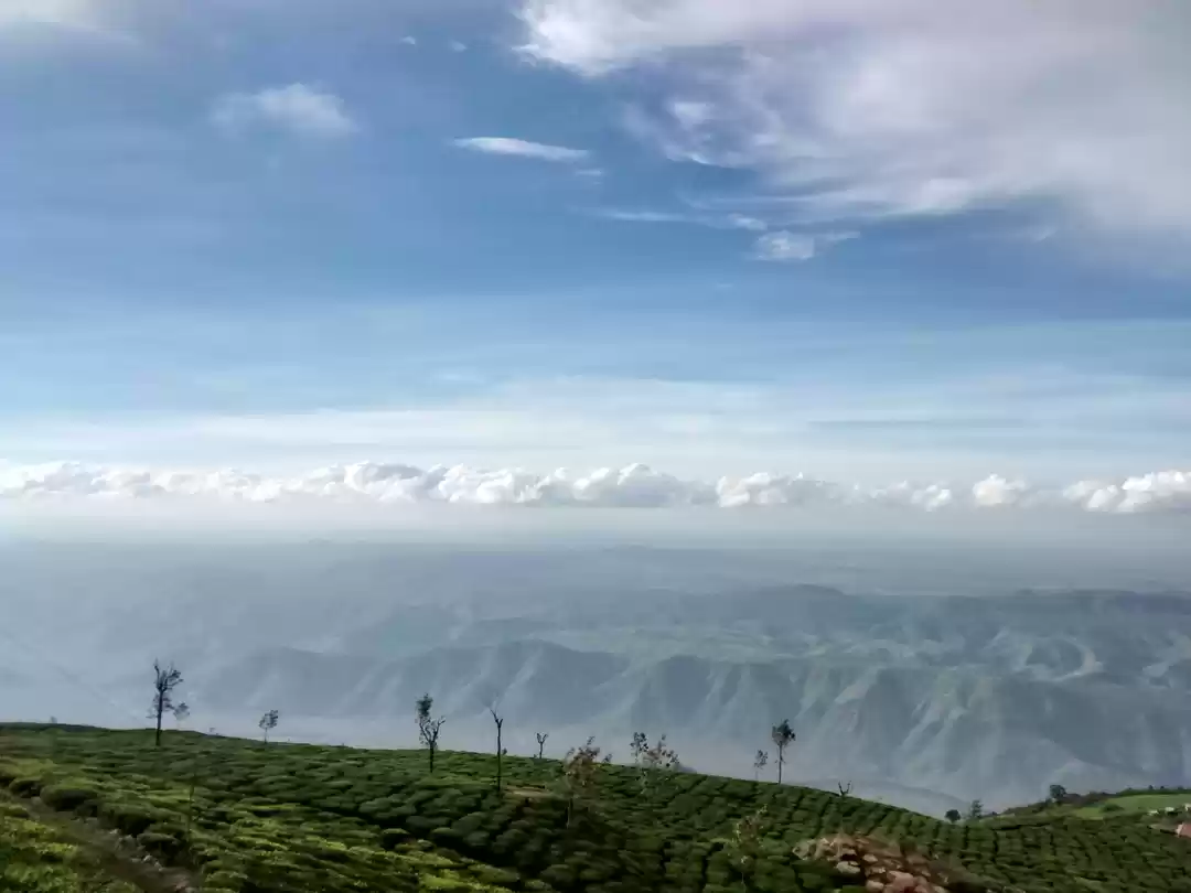 Photo of Kodanad! - A serene 