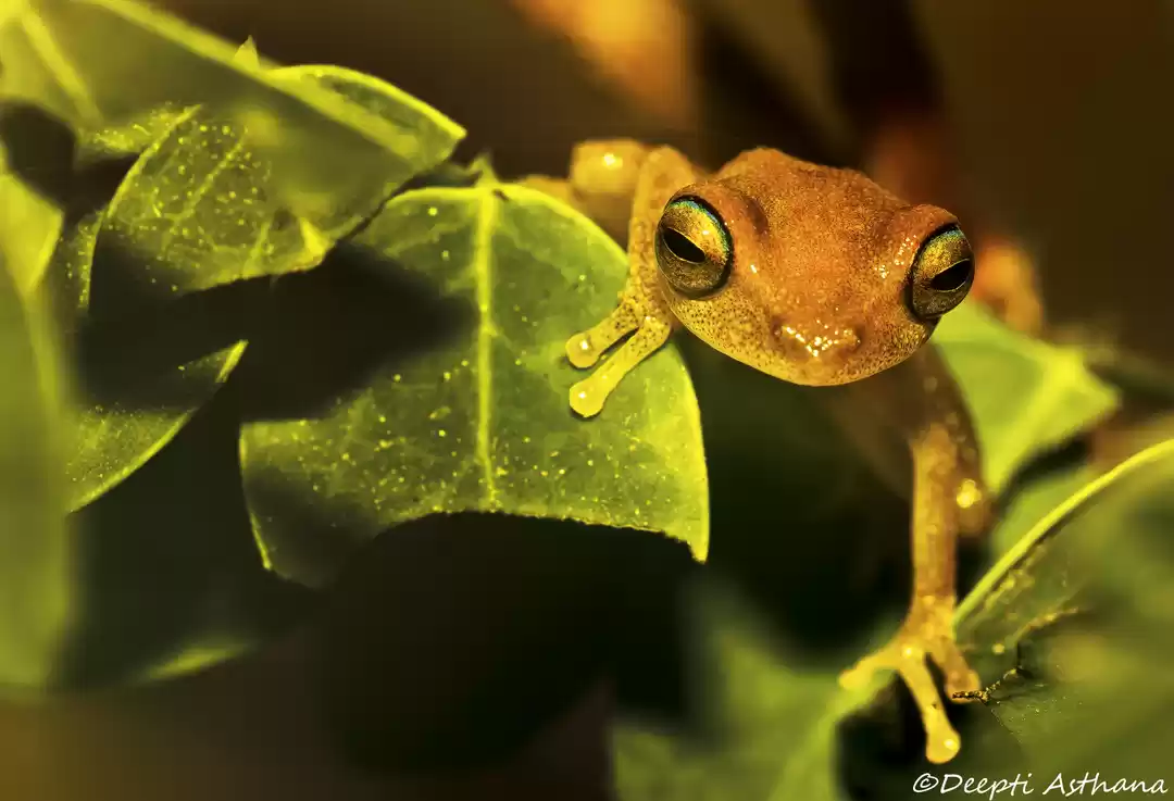 Photo of Time to kiss the fro