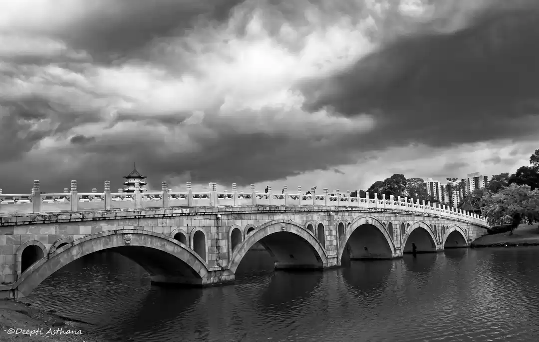 Photo of Money for nothing, S