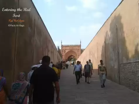 Photo of My journey to Red Fo