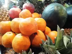 Photo of Glimpses of Nagpur –