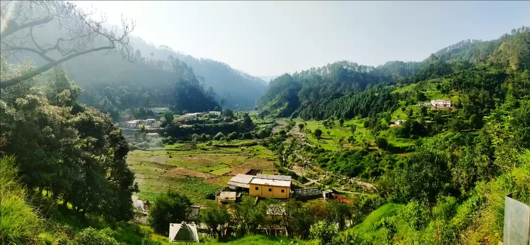 Photo of Dhanaulti, Dehradun