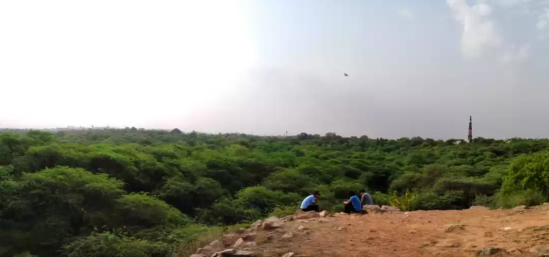 Photo of Qila Lal Kot: The Fi