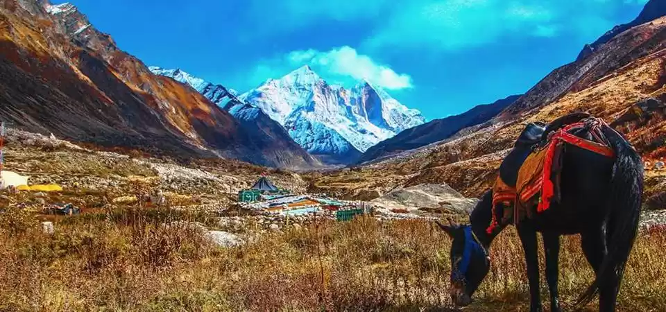 Photo of Life Above 10k Ft -