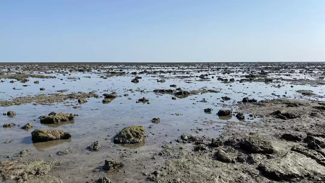 Photo of Narara - The Exposed