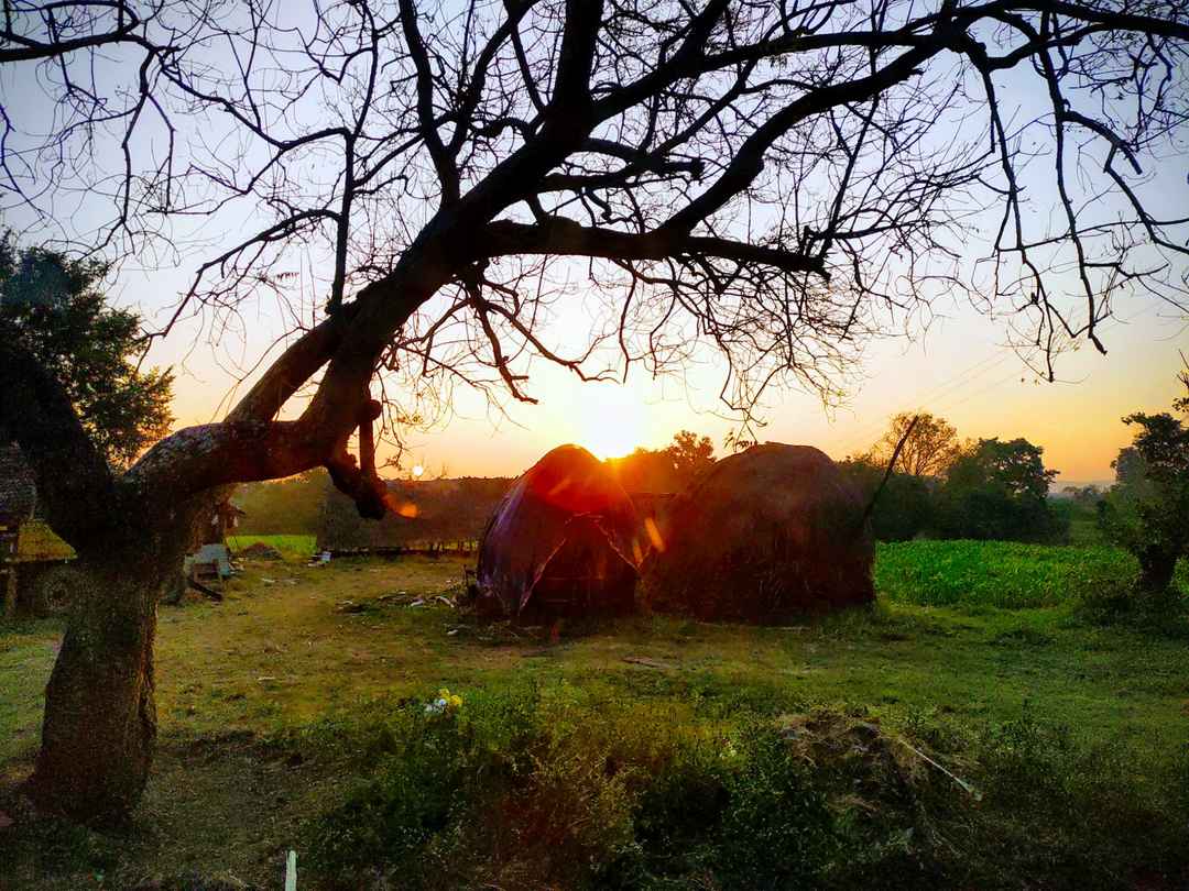 Ganeshgudi - Hidden Gem of Dandeli - Tripoto Ganeshgudi - Hidden Gem of Dandeli - Tripoto