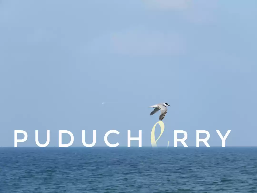 Photo of French town via Chen