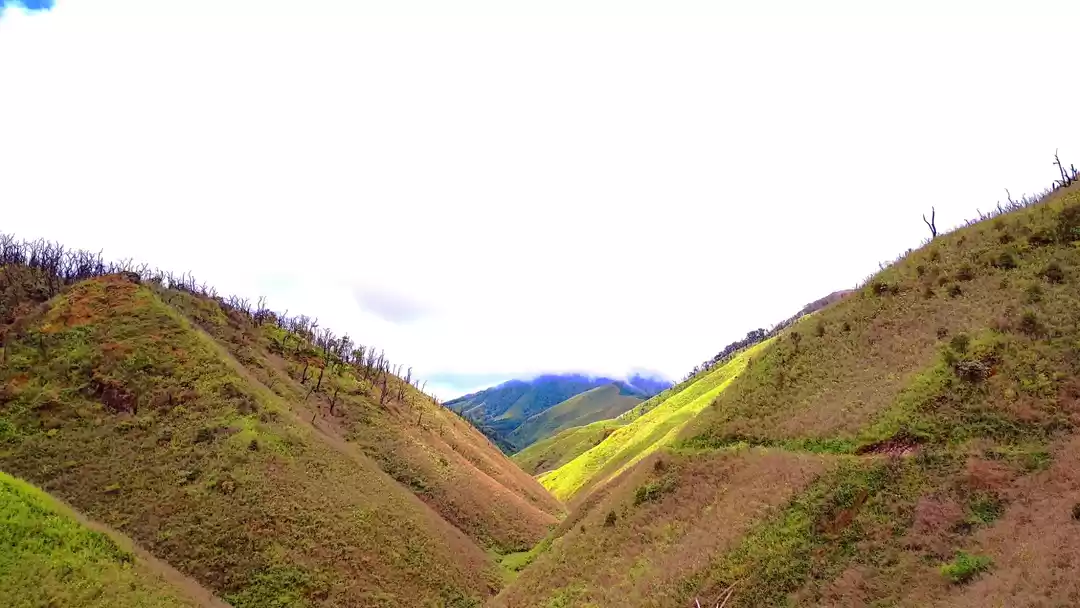 Photo of Is Dzokou Valley in