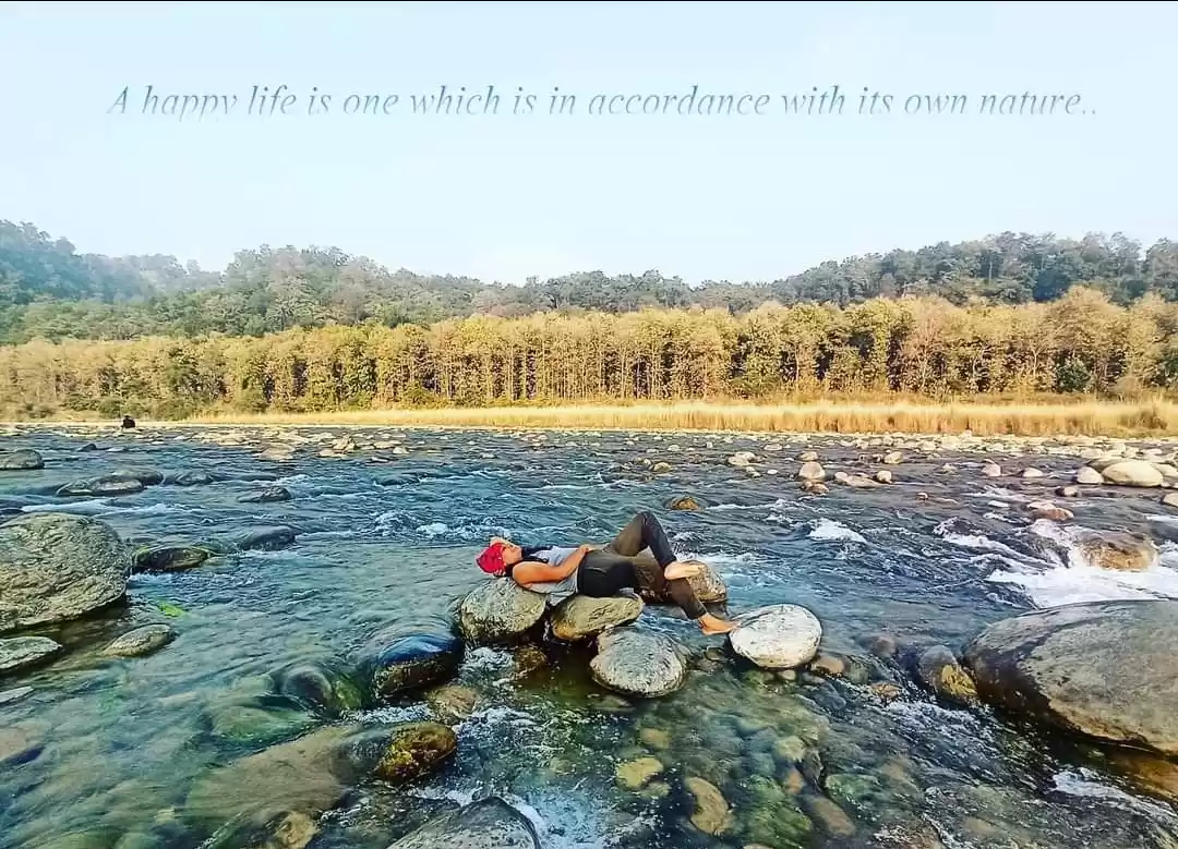 Photo of कॉर्बेट के जंगल में 