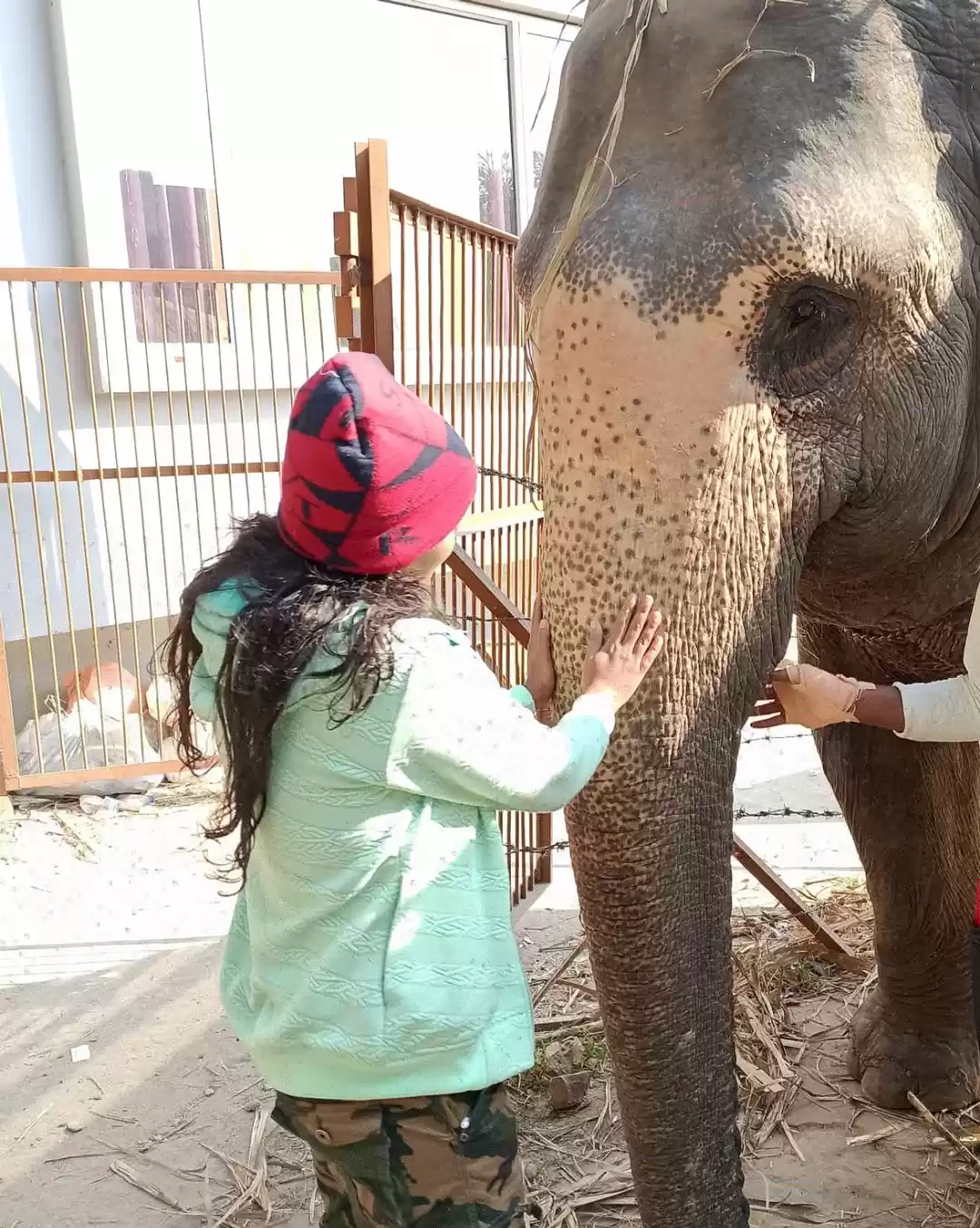 Photo of जीम कॉर्बेट की मधुबा