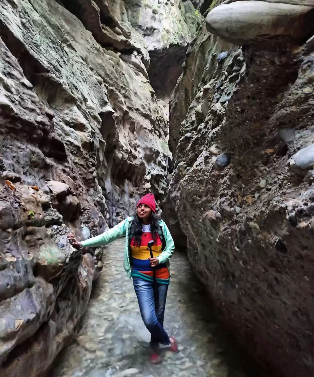 Photo of देहरादून की रॉबर्स ग