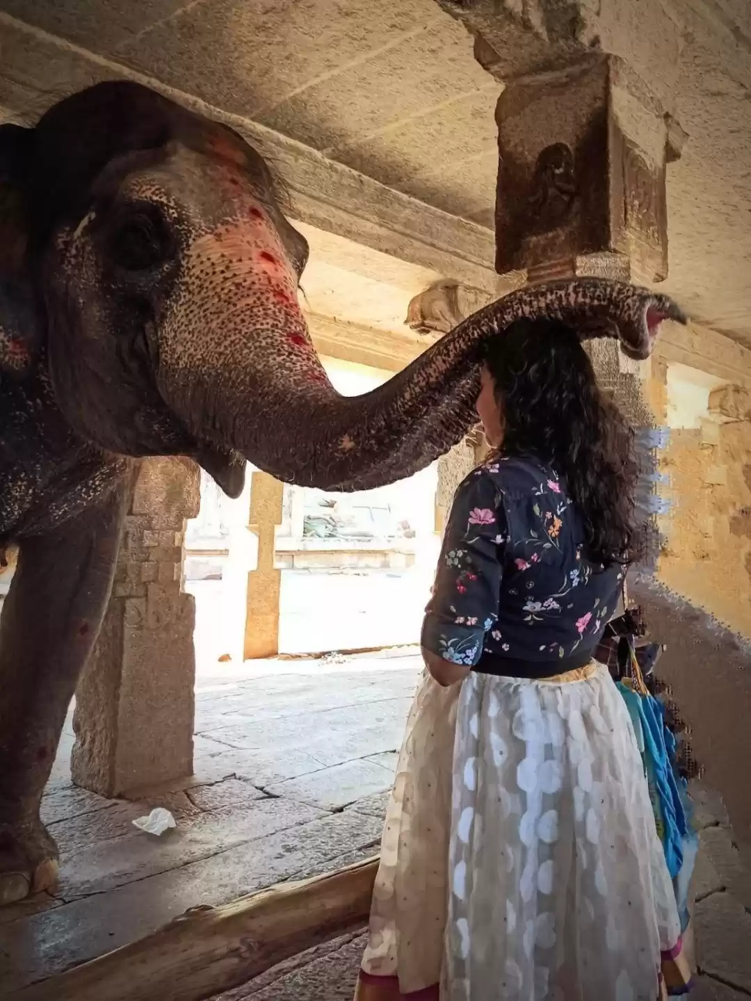 Photo of An elephant never fo