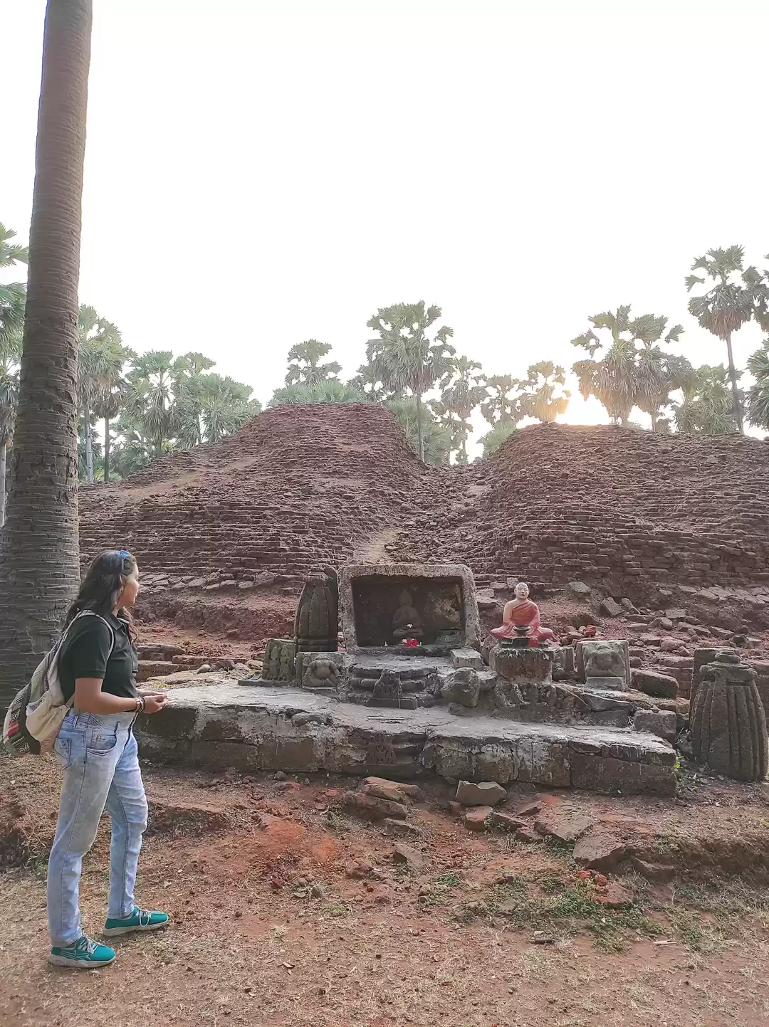 Photo of महाराष्ट्र के नालासो