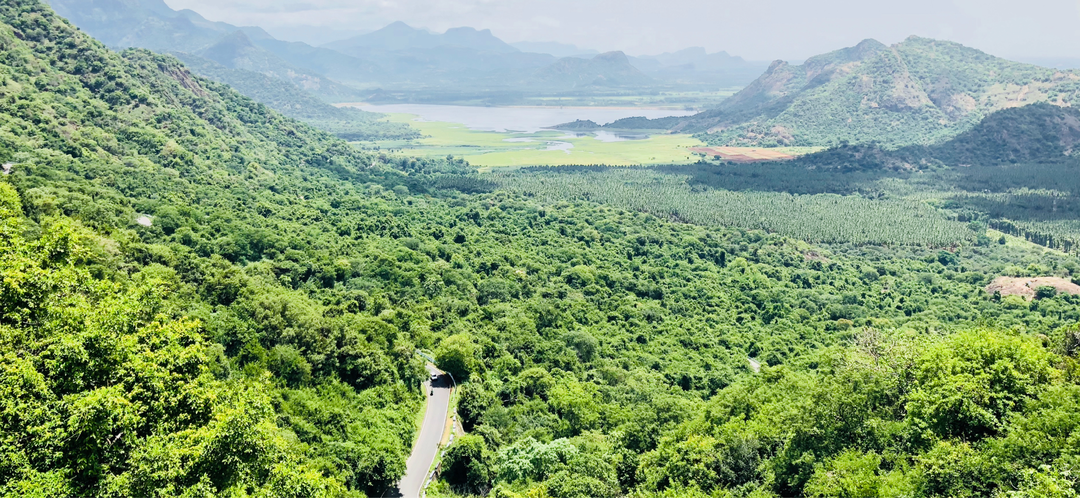 Photo of Unexplored Kodai.