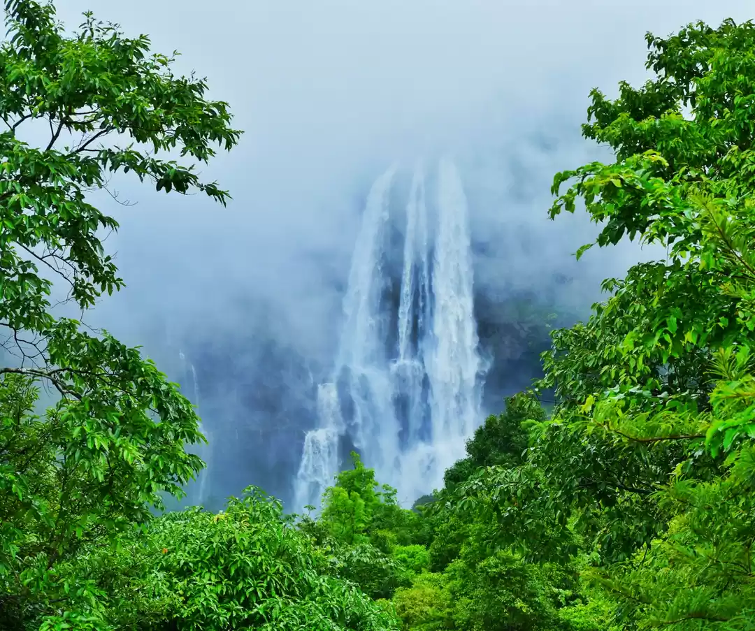 Photo of Roadtrip to koyna da